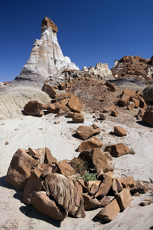 18_Bisti Wilderness__06.jpg